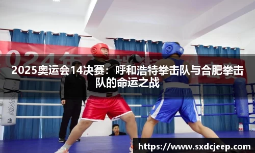 2025奥运会14决赛：呼和浩特拳击队与合肥拳击队的命运之战